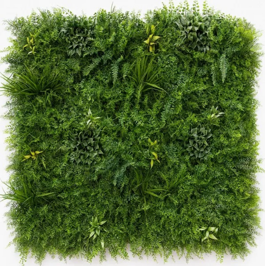 Mur Végétal Fougere Dense